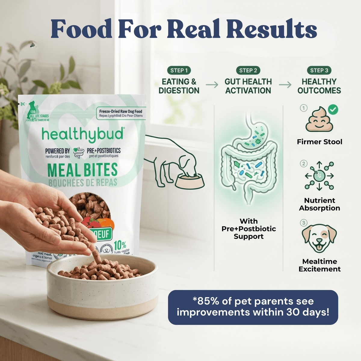 Beef Meal Bites