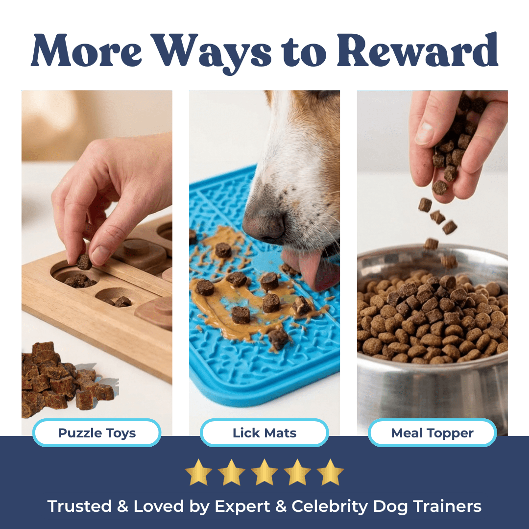 Beef Mini Training Treats
