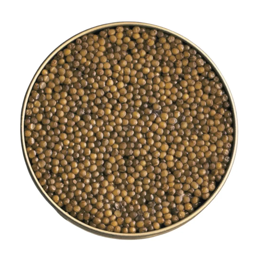 Kaluga Caviar
