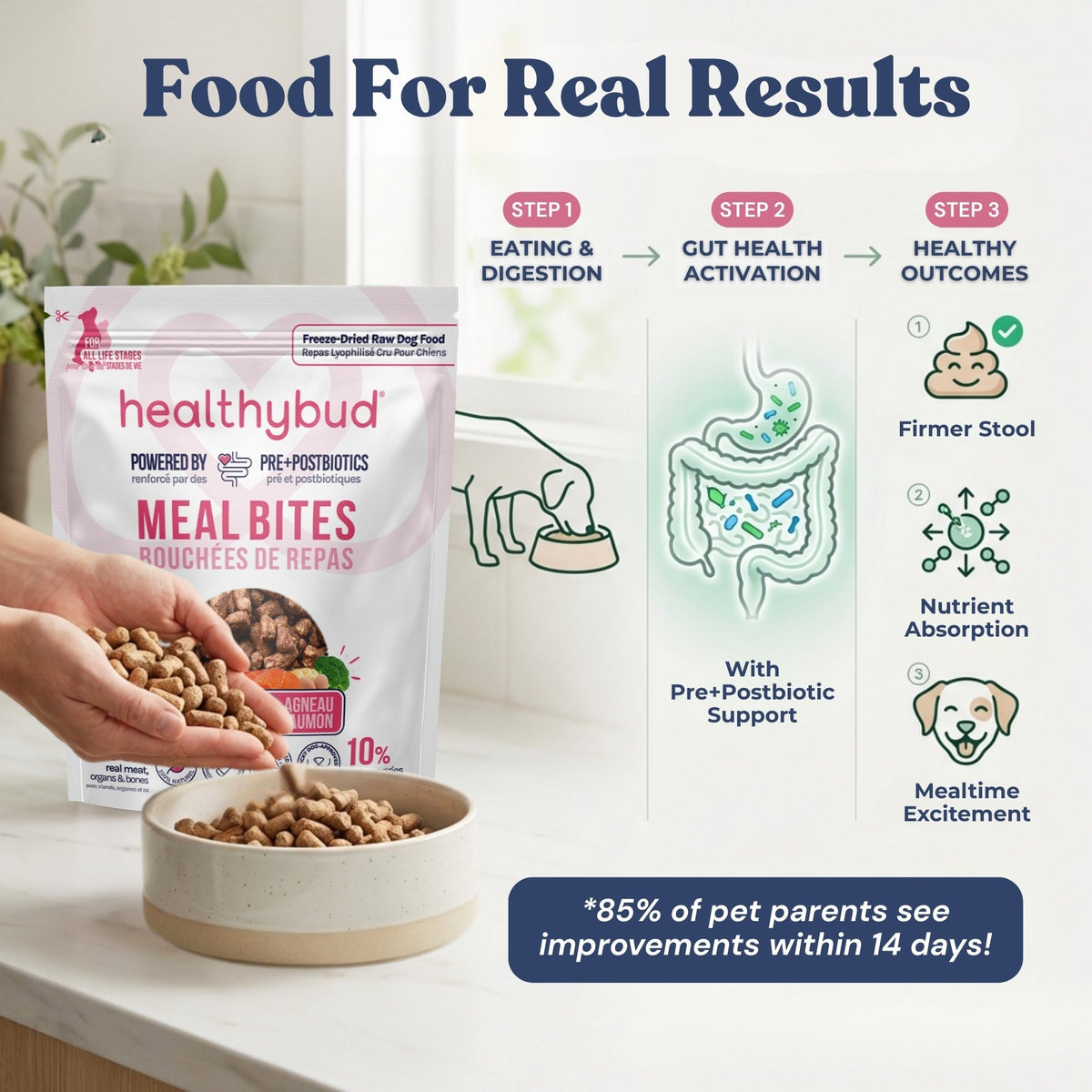 Lamb + Salmon Meal Bites