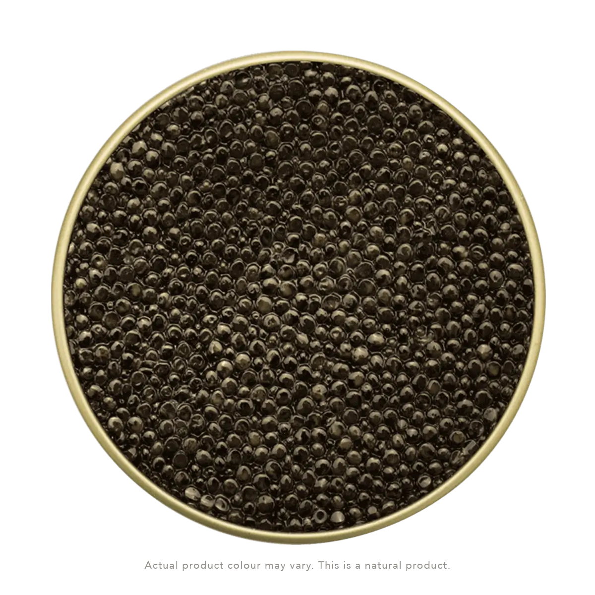 Osetra (Russian Sturgeon) Caviar