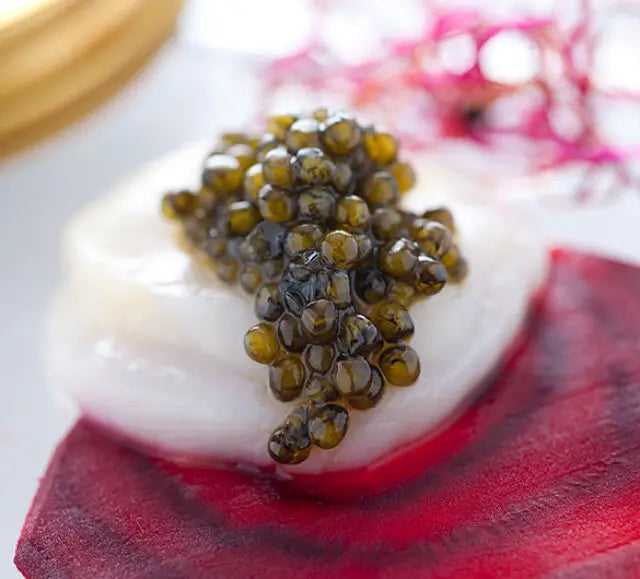 Osetra (Russian Sturgeon) Caviar