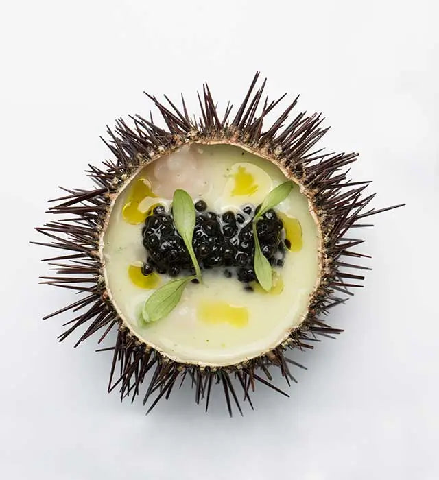 DaVinci (Adriatic Sturgeon) Caviar