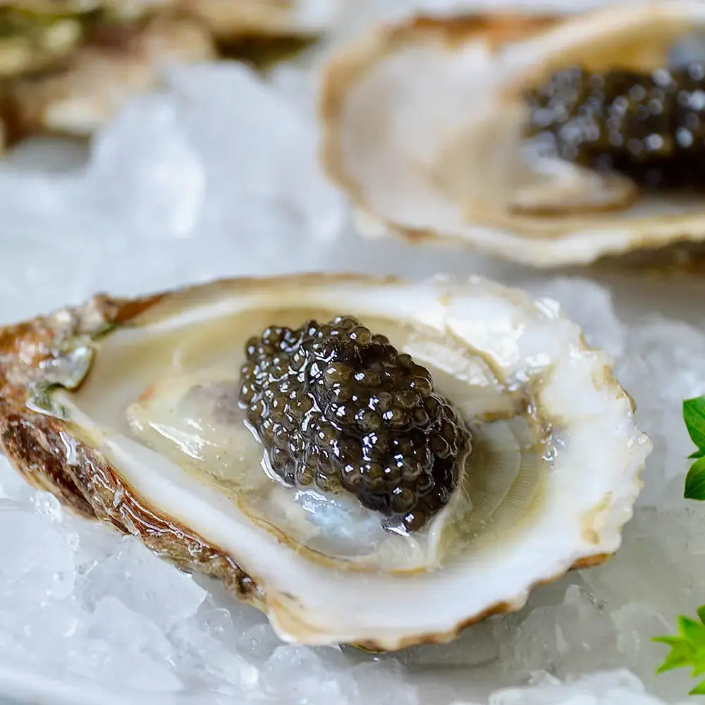 Sevruga Caviar