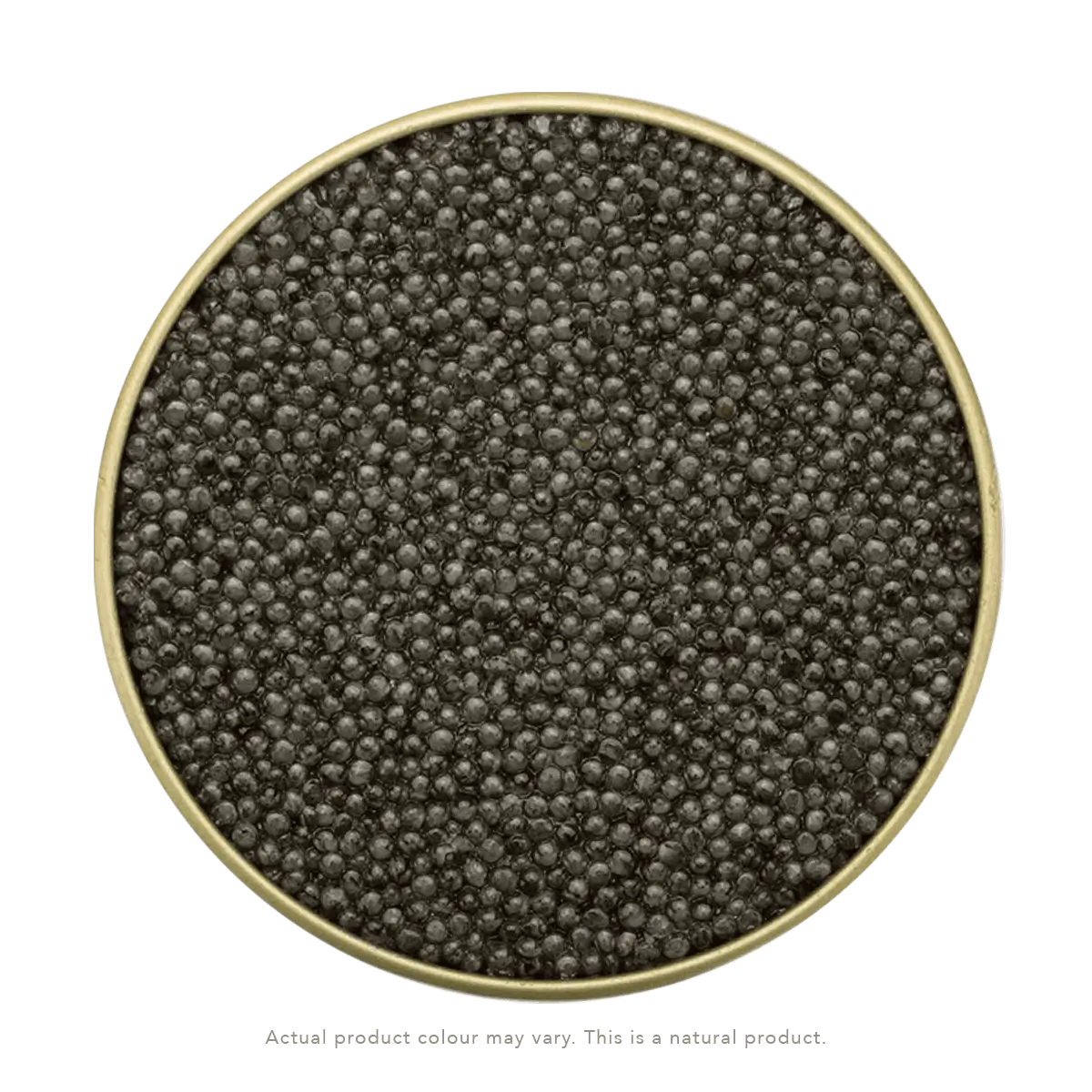 Sevruga Caviar