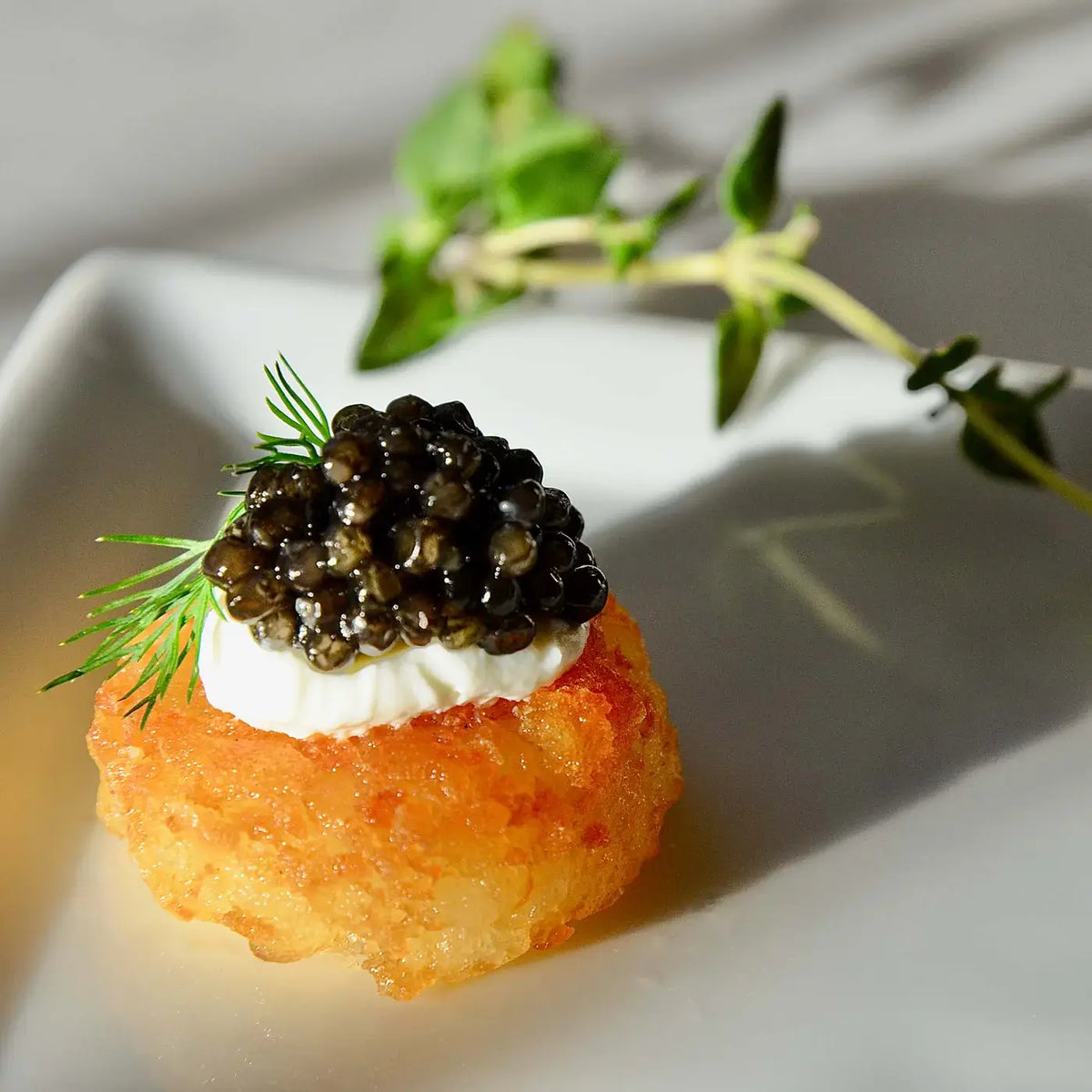 Siberian (Baerii) Caviar