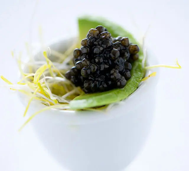 Siberian (Baerii) Caviar