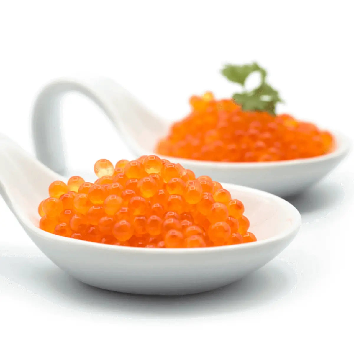 Trout Roe