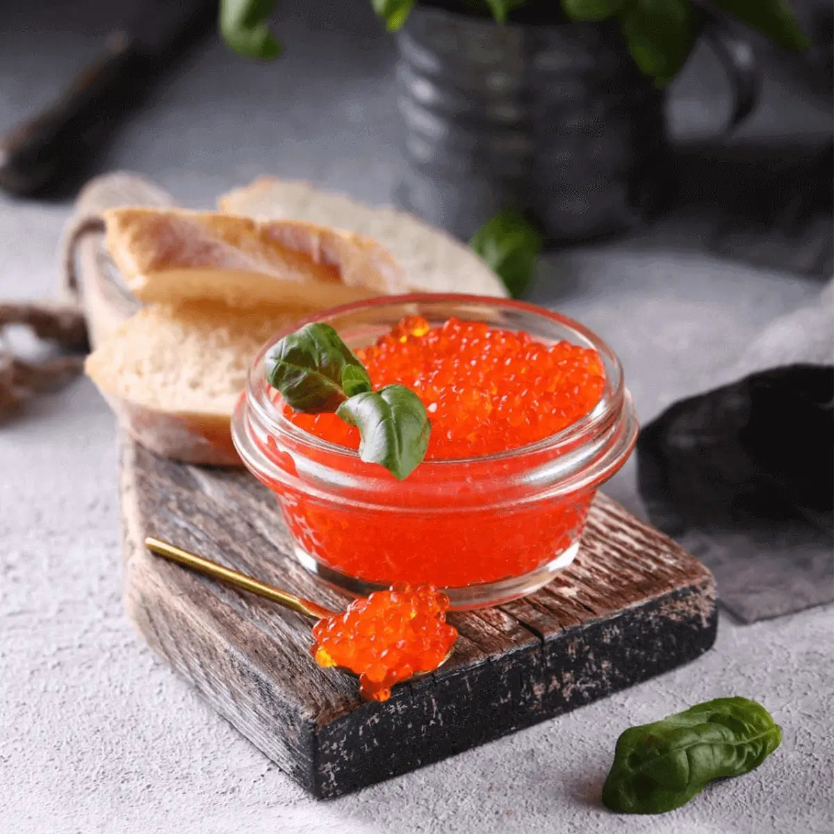 Trout Roe