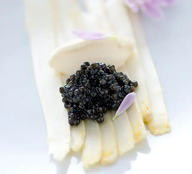 White Sturgeon Caviar